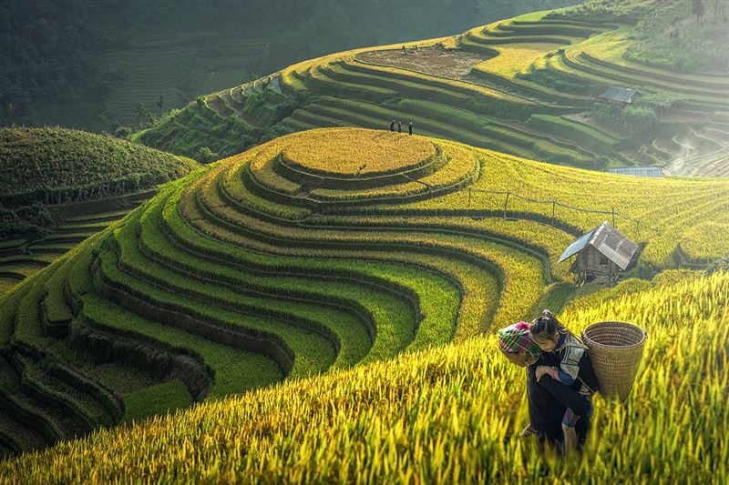 Sapa & Mu Cang Chai Trekking Tour 5 days 4 nights