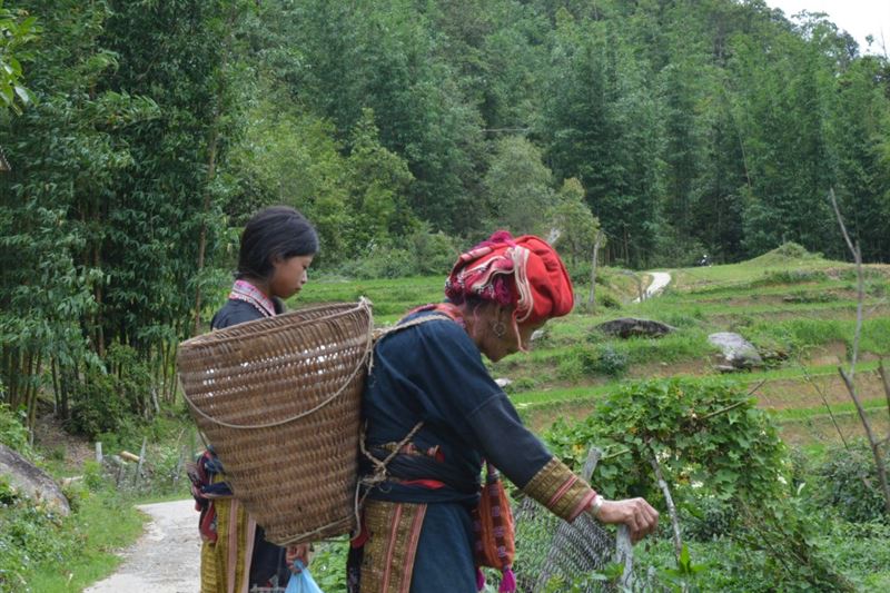 Sapa Tour 2 Days 1 Night By  Bus From Hanoi