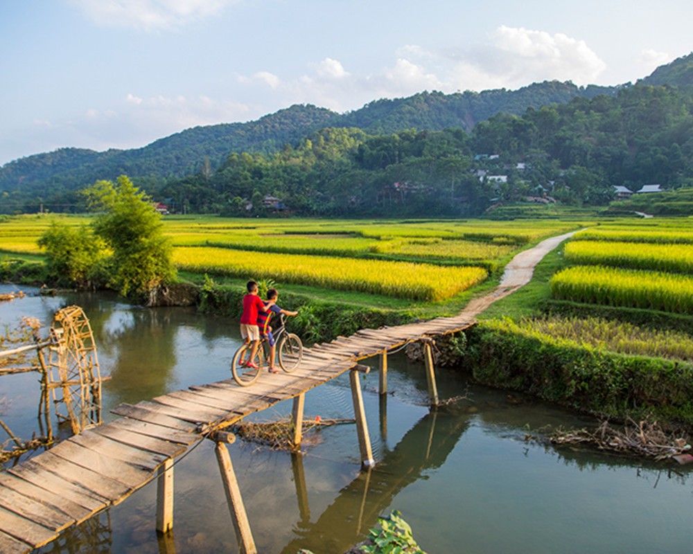 puluong-rice-fields